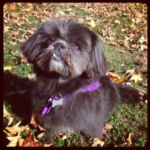 Macy Mae Spa Day
