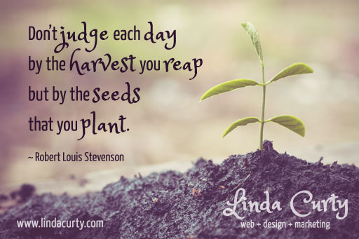 Small Business Inspiration: Don't judge each day by the harvest you reap buy by the seeds that you plant.